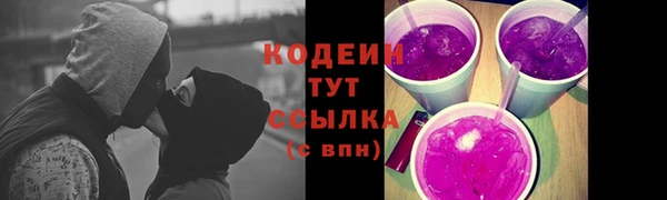 индика Покров