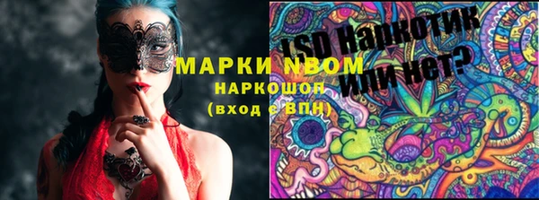 хмурый Покачи