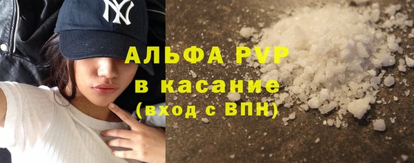 шишки Абаза