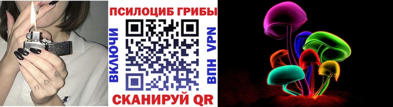 Псилоцибиновые грибы Psilocybine cubensis нарко площадка официальный сайт Торопец наркота