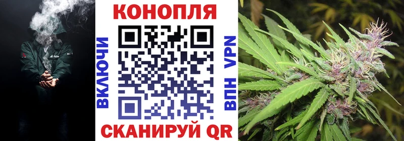Бошки Шишки OG Kush  Торопец 